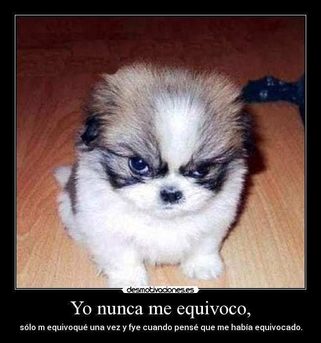 Yo nunca me equivoco, -