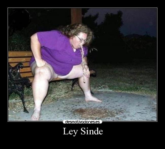 Ley Sinde -