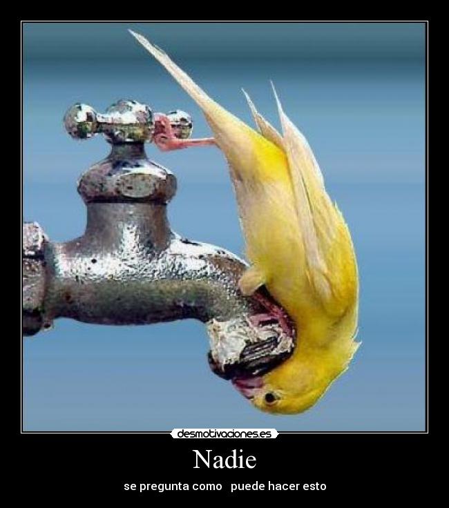 Nadie - se pregunta como puede hacer esto