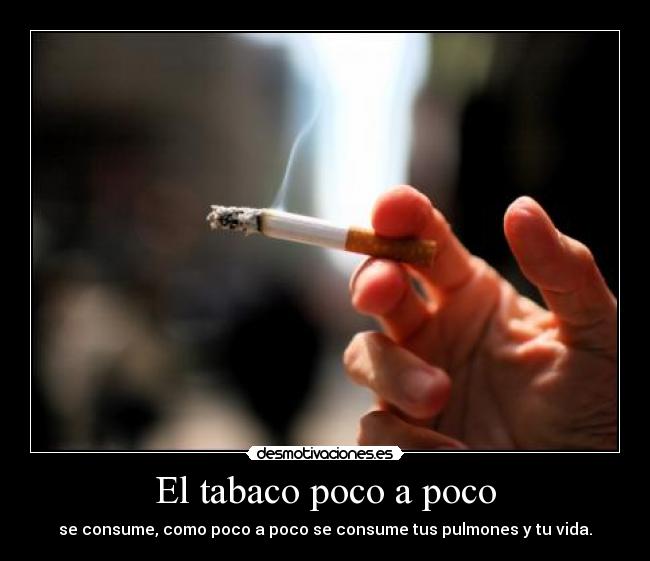 El tabaco poco a poco - 