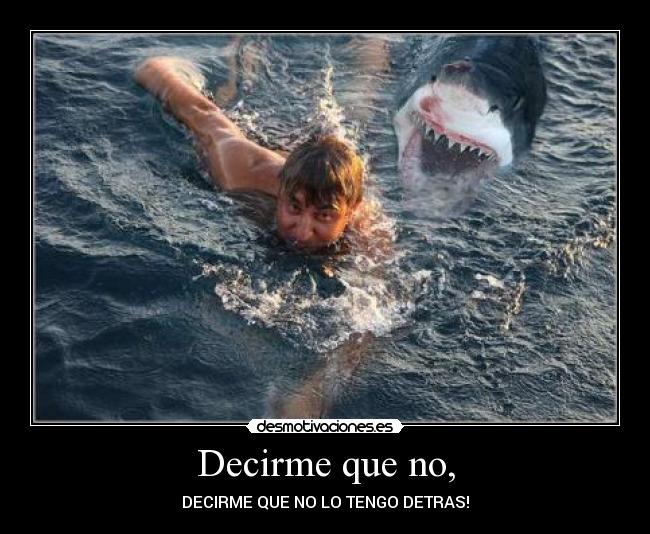Decirme que no, -