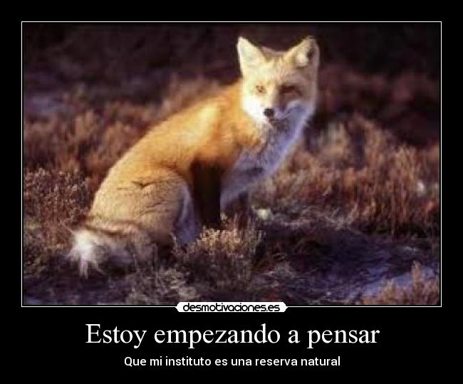 Estoy empezando a pensar - Que mi instituto es una reserva natural
