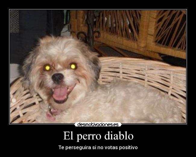El perro diablo -