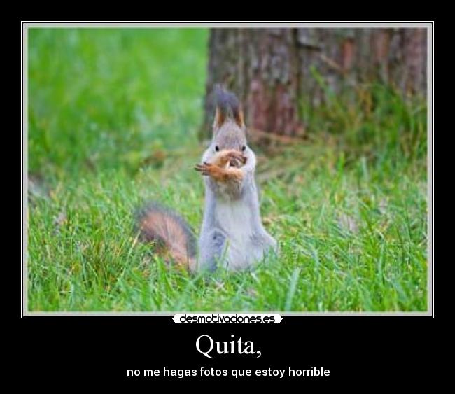 Quita, - no me hagas fotos que estoy horrible