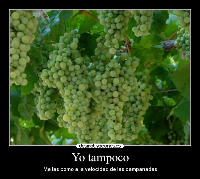 Yo tampoco -