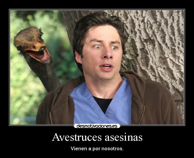Avestruces asesinas - 