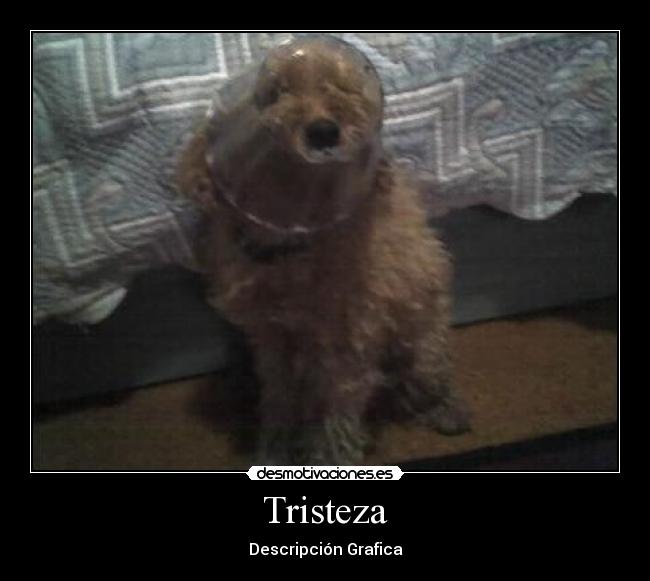 Tristeza - Descripción Grafica