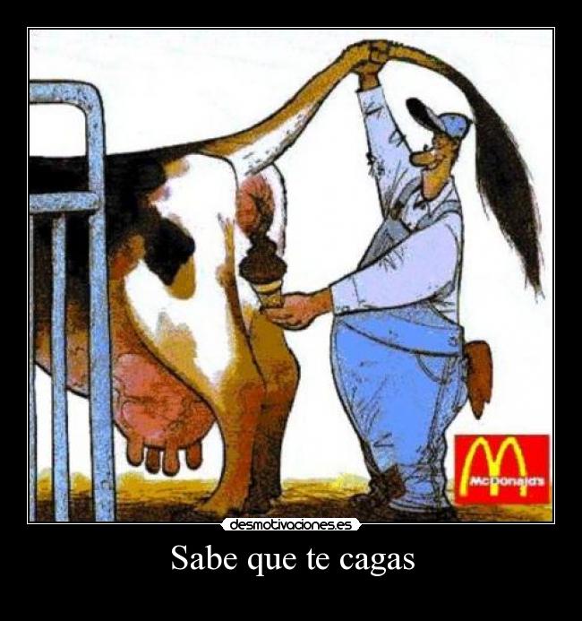 Sabe que te cagas -