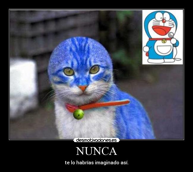 NUNCA - te lo habrías imaginado así.