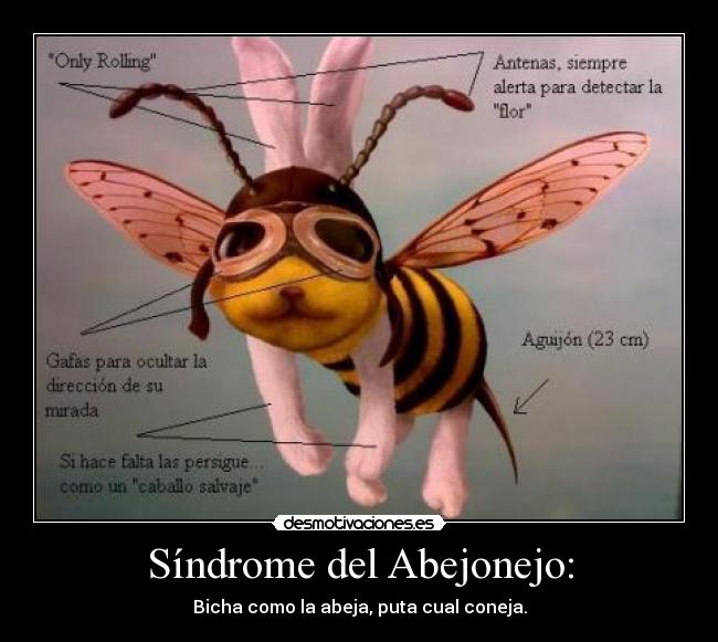 Síndrome del Abejonejo: - Bicha como la abeja, puta cual coneja.