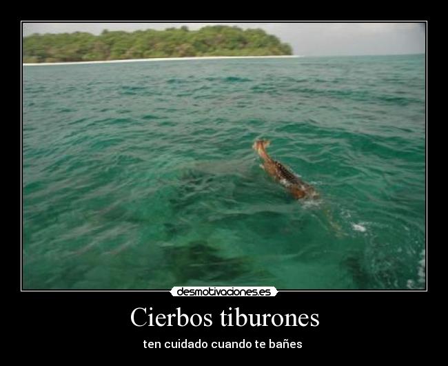 carteles desmotivaciones