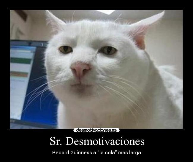 Sr. Desmotivaciones - Record Guinness a la cola más larga