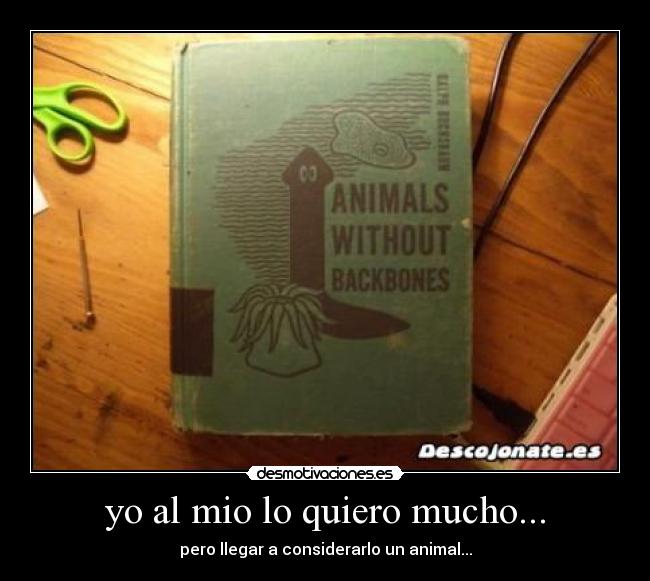 yo al mio lo quiero mucho... - pero llegar a considerarlo un animal...