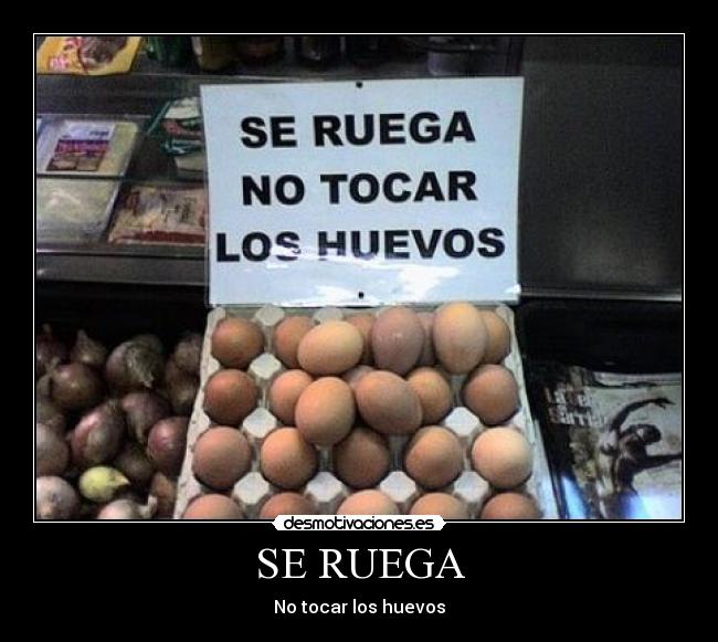 SE RUEGA - 