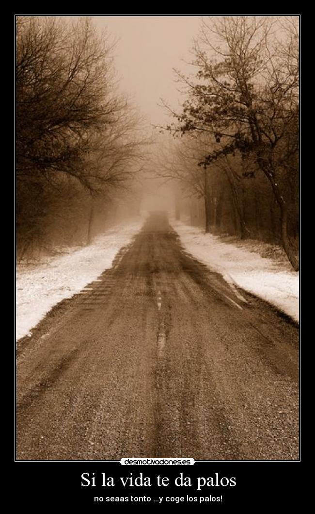 Si la vida te da palos -