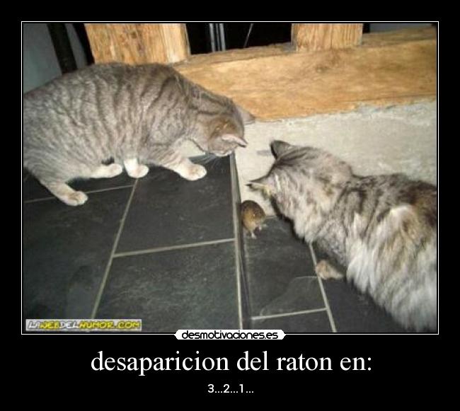 desaparicion del raton en: - 3...2...1...