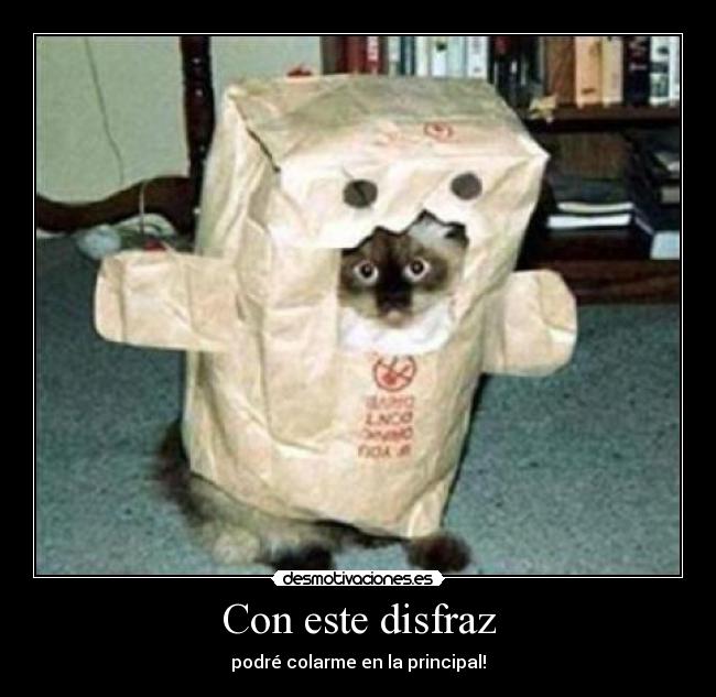 Con este disfraz -