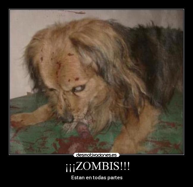 ¡¡¡ZOMBIS!!! - Estan en todas partes