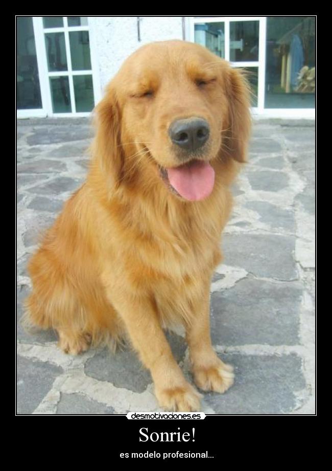 Sonrie! - es modelo profesional...