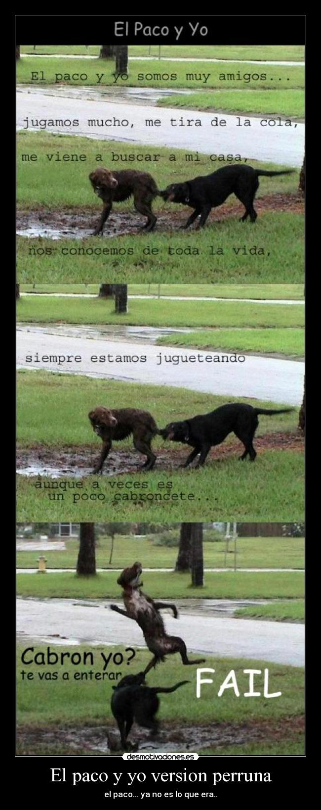 El paco y yo version perruna -