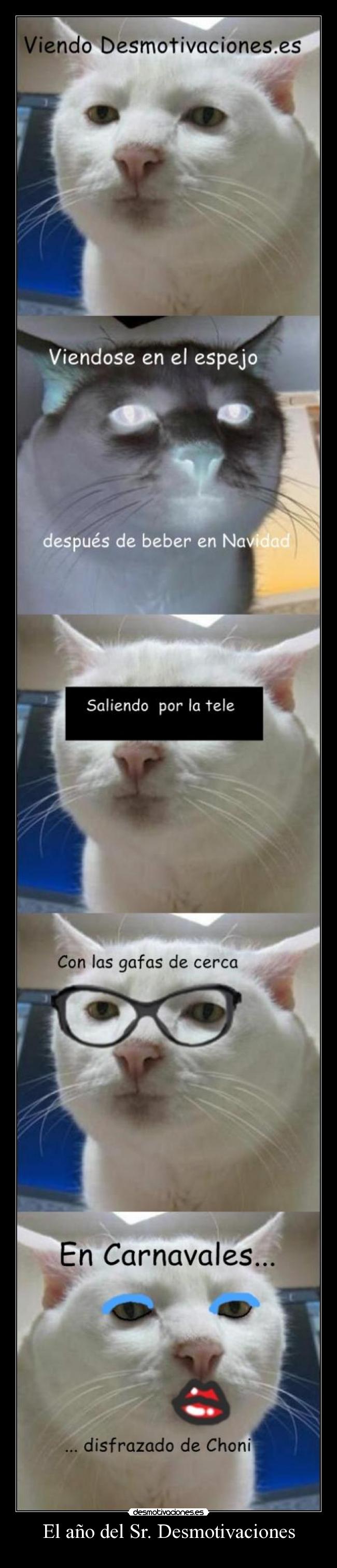 El año del Sr. Desmotivaciones -