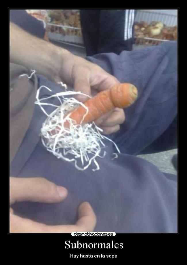 Subnormales - Hay hasta en la sopa