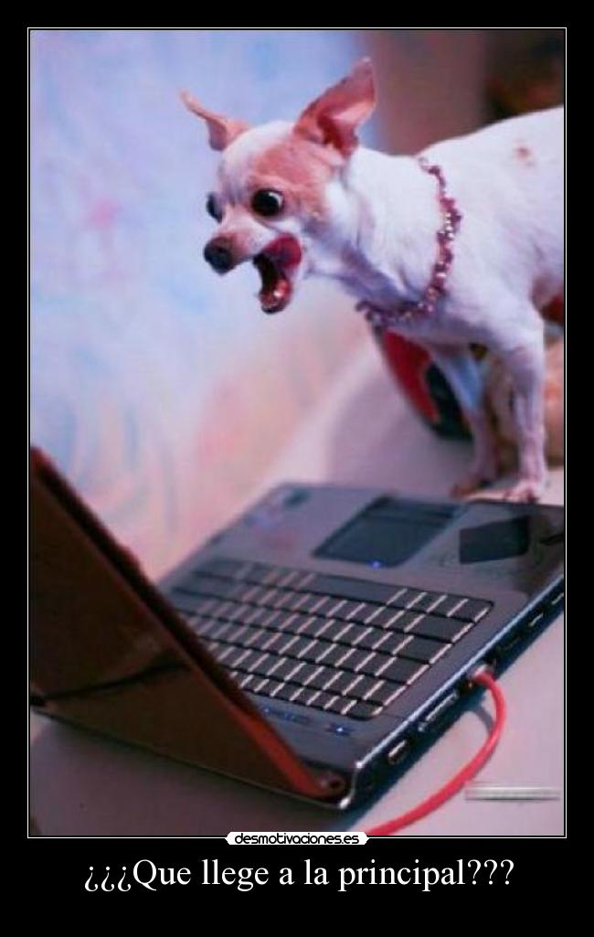 ¿¿¿Que llege a la principal??? -