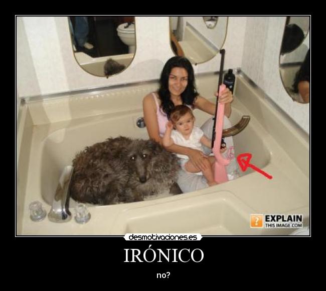 IRÓNICO -
