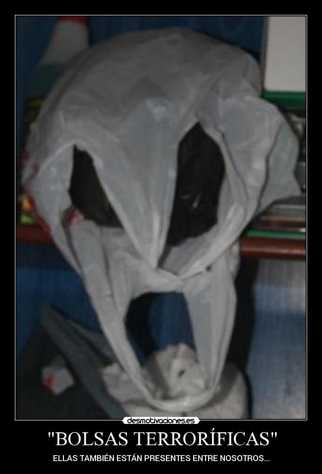 BOLSAS TERRORÍFICAS -