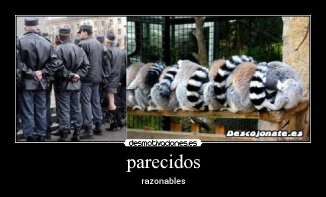 parecidos - razonables