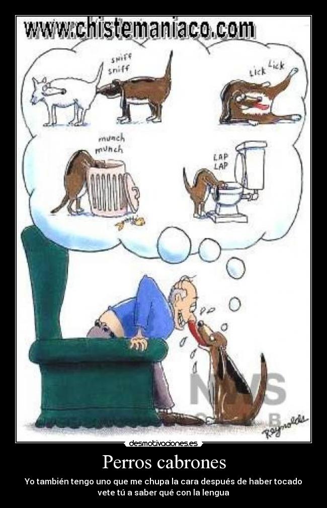 Perros cabrones -