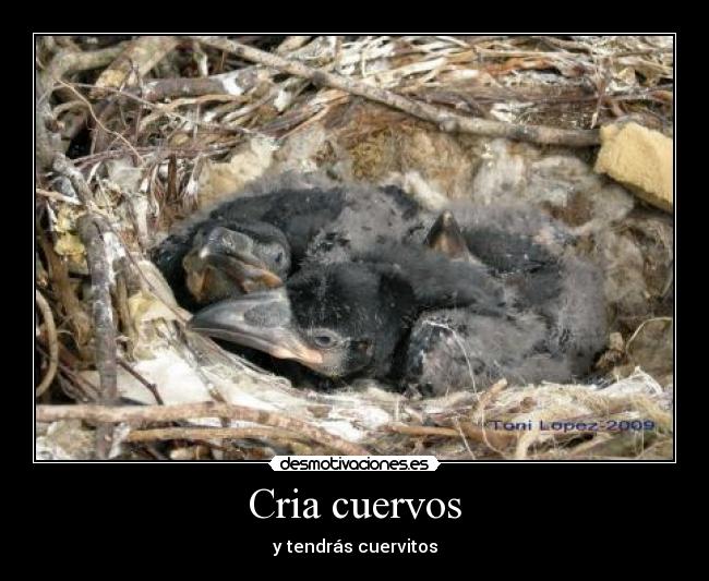 Cria cuervos - 