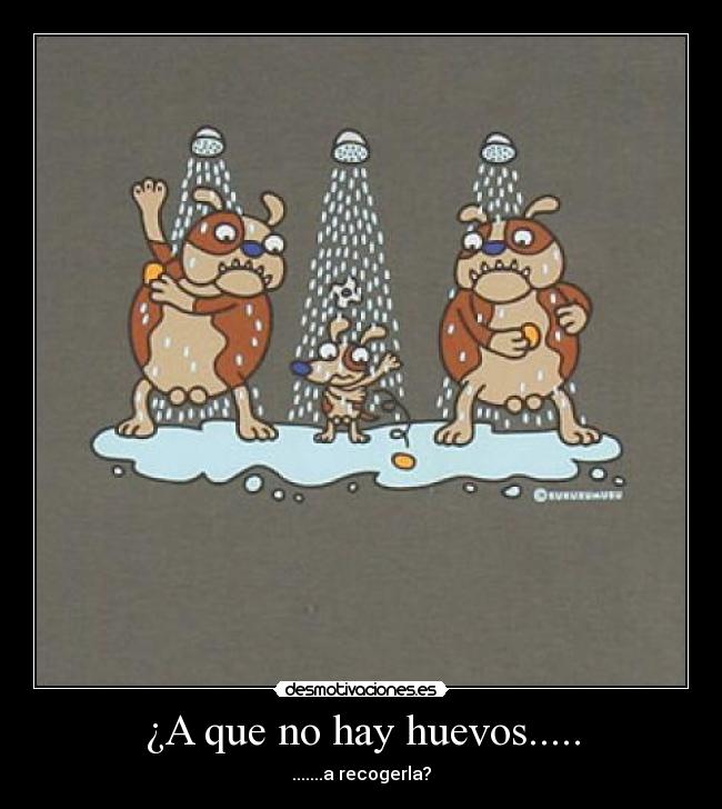 ¿A que no hay huevos..... - .......a recogerla?