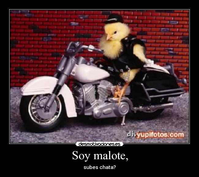 Soy malote, - subes chata?