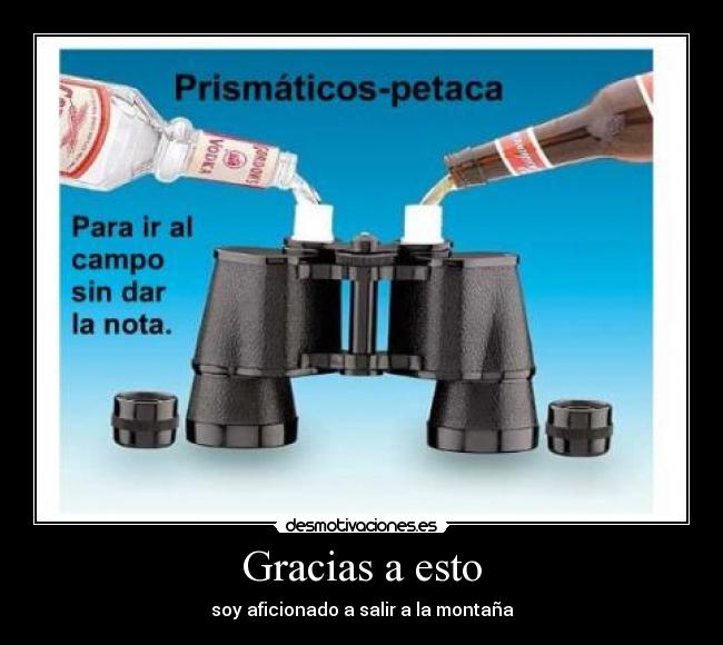 Gracias a esto - 