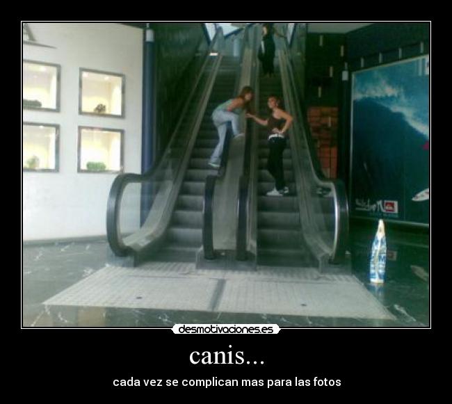 carteles gaku desmotivaciones