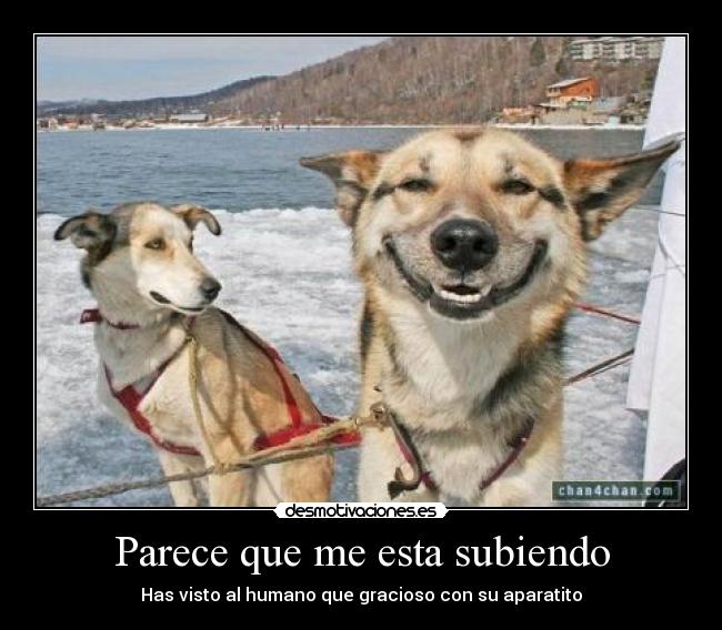 Parece que me esta subiendo - 