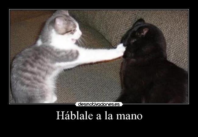 carteles hablale mano desmotivaciones