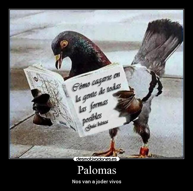 carteles palomas manual instrucciones nos van joder vivos desmotivaciones