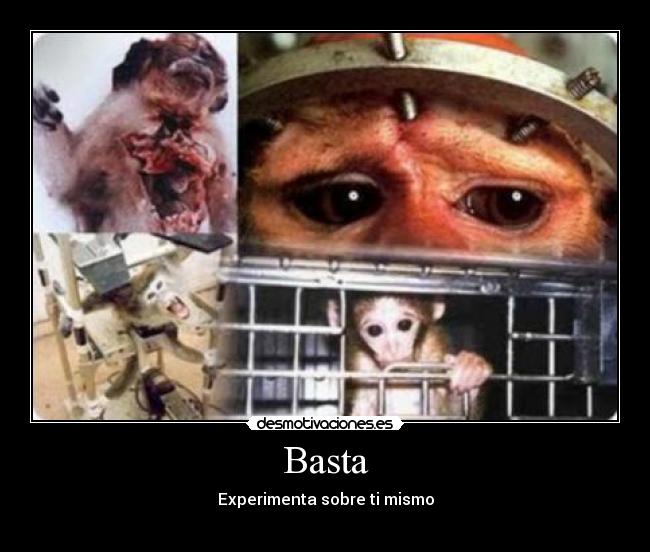carteles animal defensa experimentos cientificos desmotivaciones