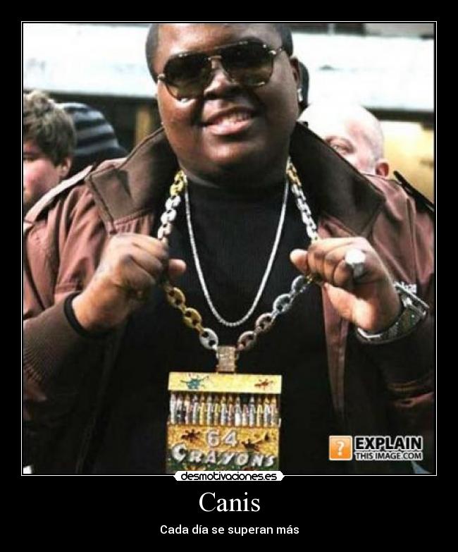 Canis - Cada día se superan más