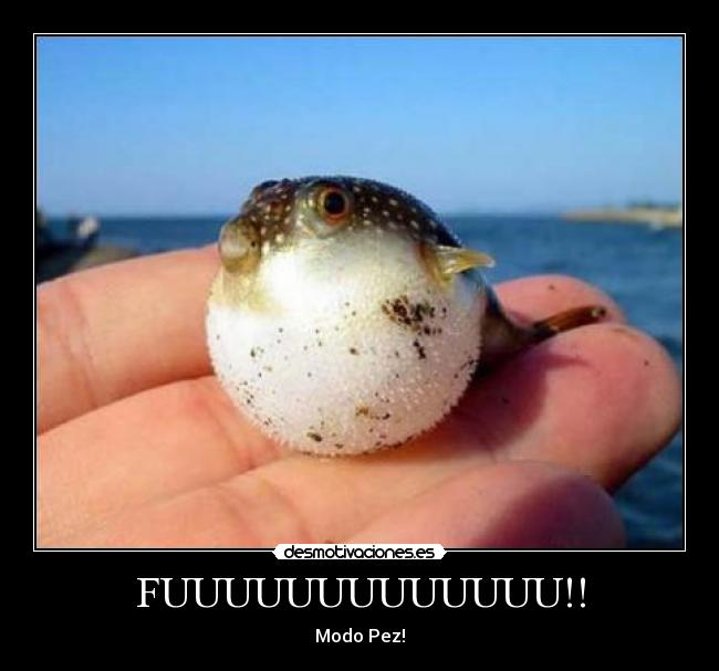 carteles fuu desmotivaciones