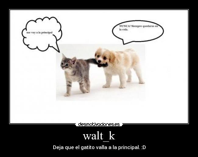 walt_k - Deja que el gatito valla a la principal. :D