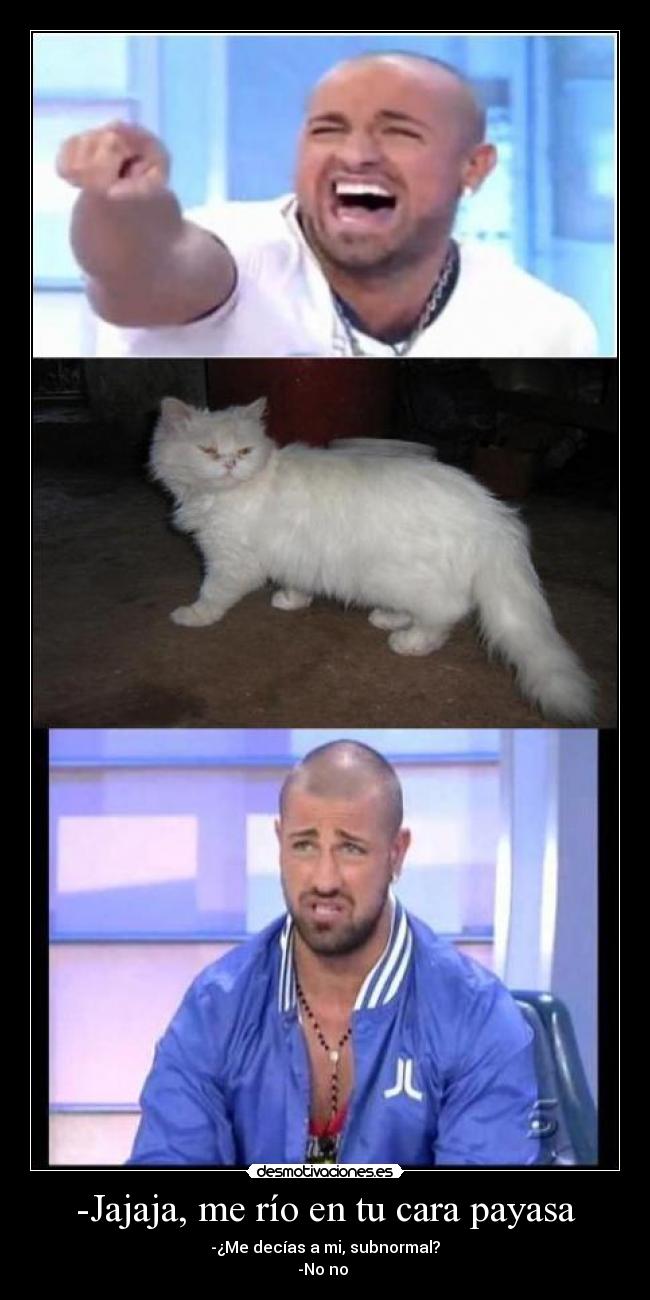-Jajaja, me río en tu cara payasa - -¿Me decías a mi, subnormal?
-No no
