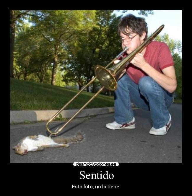 Sentido - 