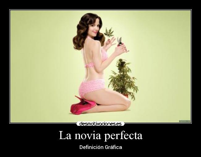 La novia perfecta -