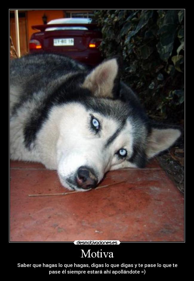 Motiva - Saber que hagas lo que hagas, digas lo que digas y te pase lo que te
pase él siempre estará ahí apollándote =)