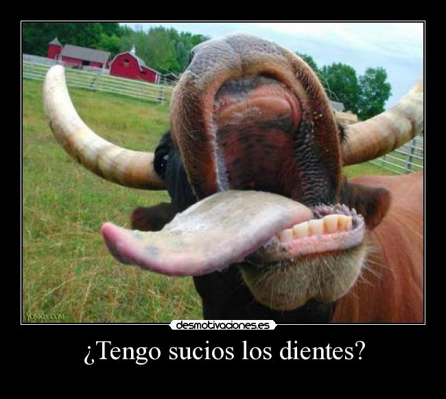 ¿Tengo sucios los dientes? - 