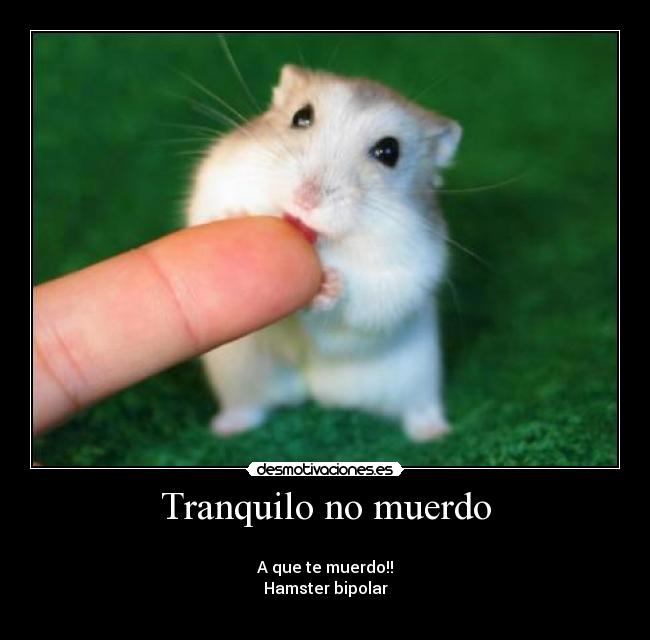 Tranquilo no muerdo - 
A que te muerdo!!
Hamster bipolar
