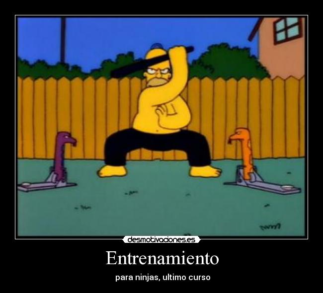 Entrenamiento - para ninjas, ultimo curso